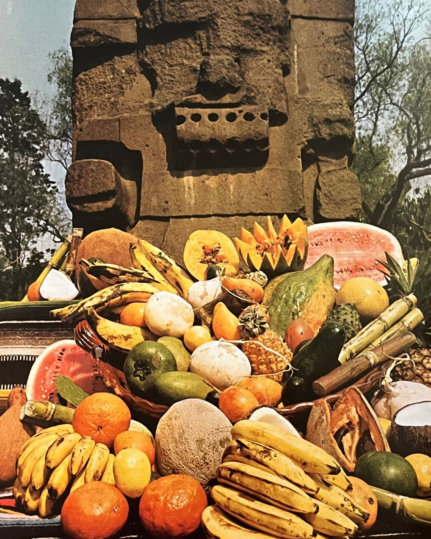 Pestil Books for vitruta Latin American Cooking