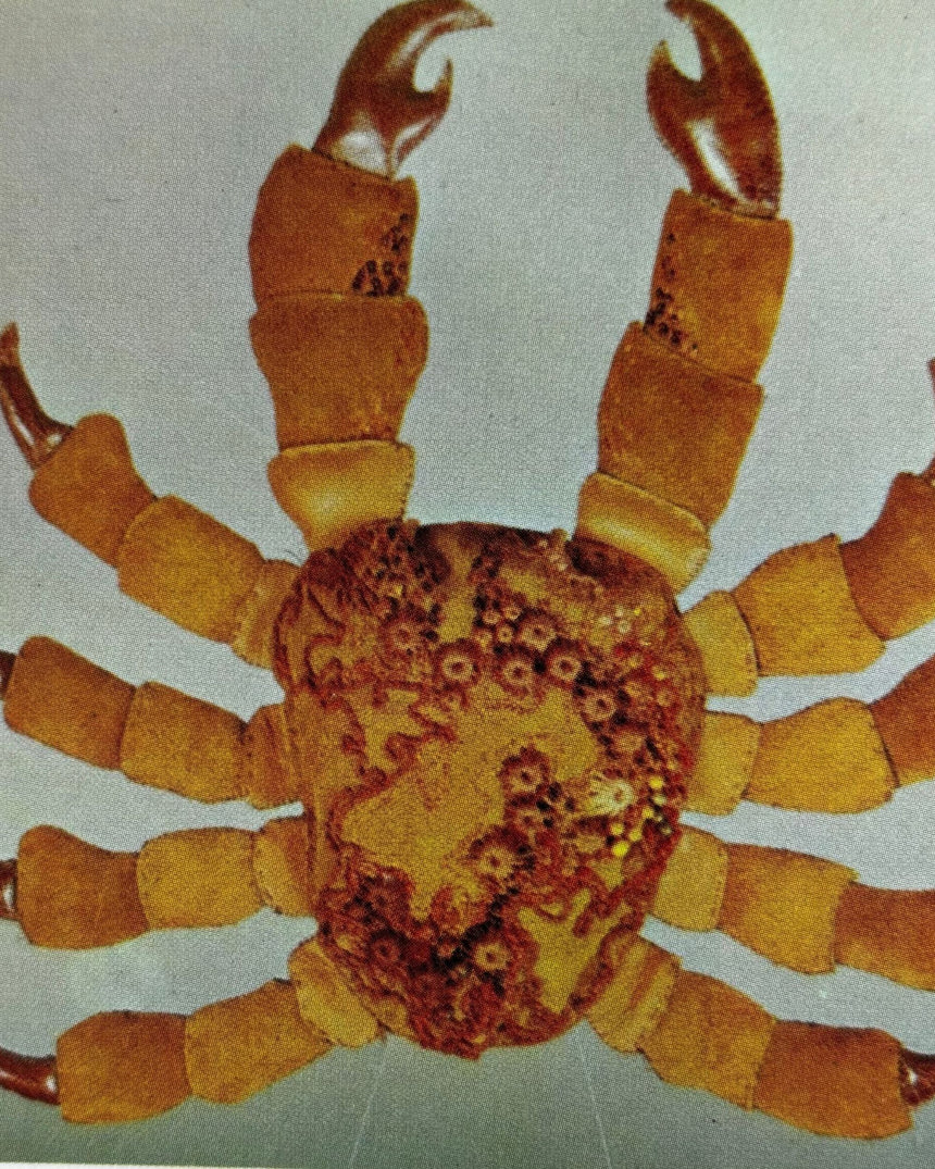 Pestil Books for vitruta Leatherwork