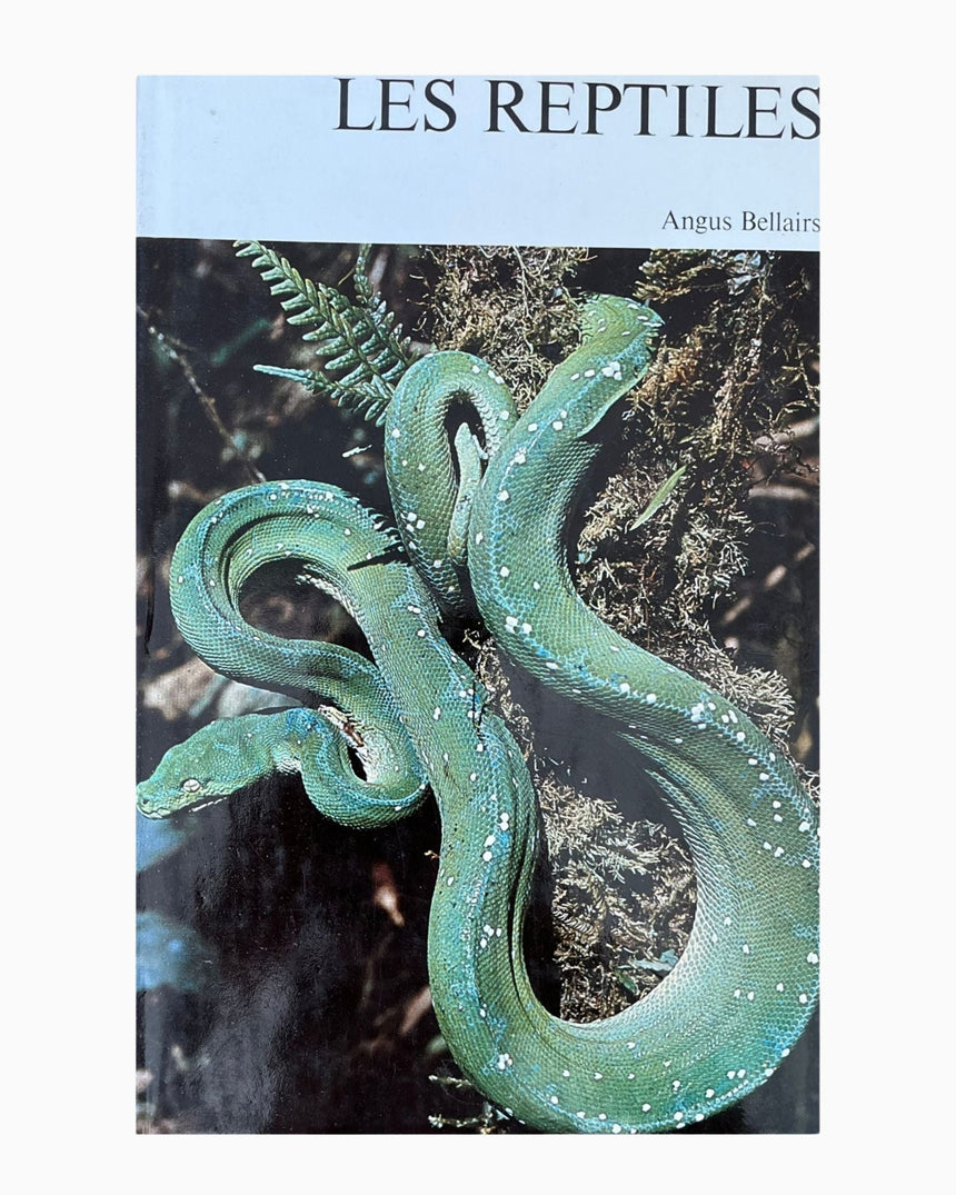 Pestil Books for vitruta Les Reptiles