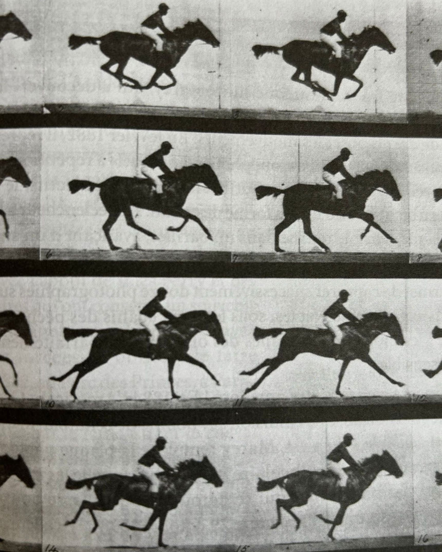 Pestil Books for vitruta Les sciences et lart