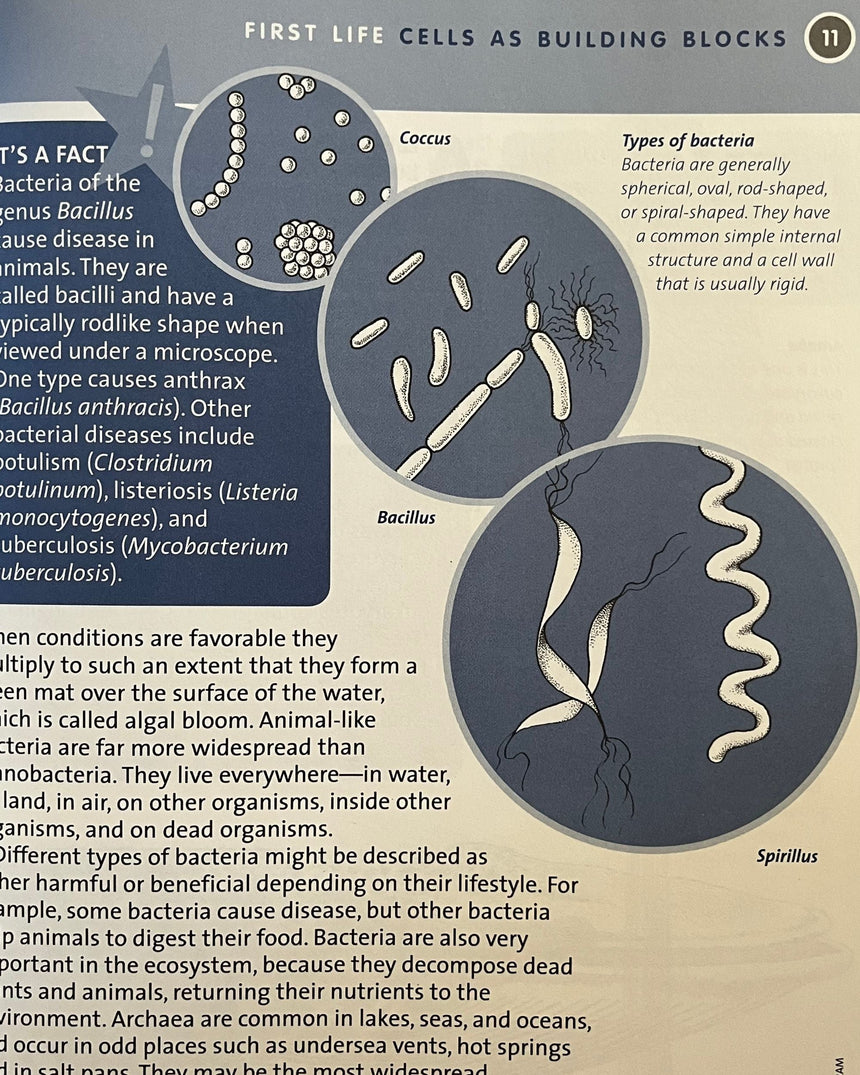 Pestil Books for vitruta Life on Earth: First Life