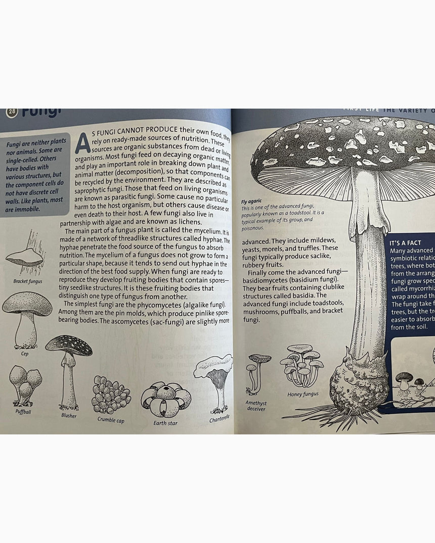 Pestil Books for vitruta Life on Earth: First Life