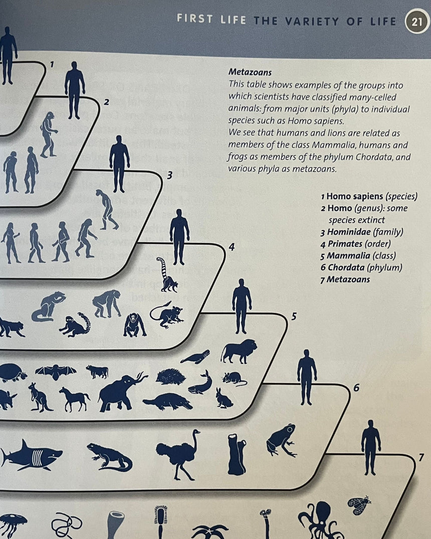 Pestil Books for vitruta Life on Earth: First Life