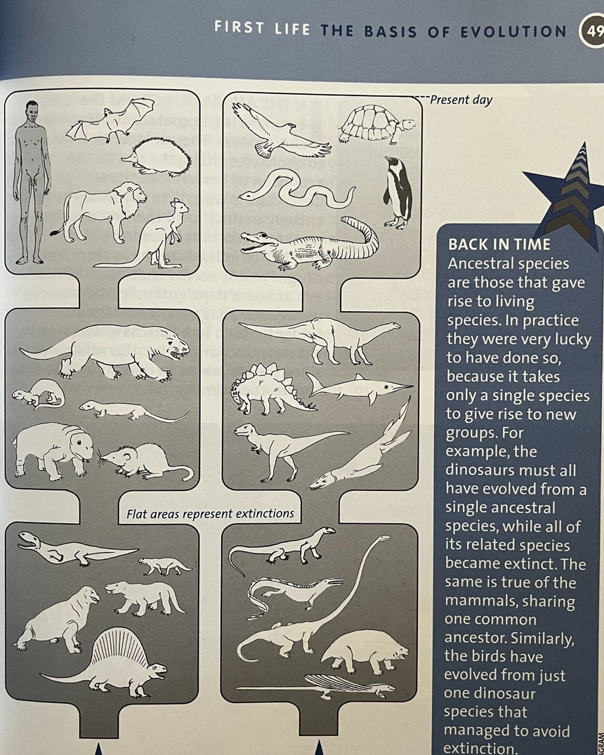 Pestil Books for vitruta Life on Earth: First Life