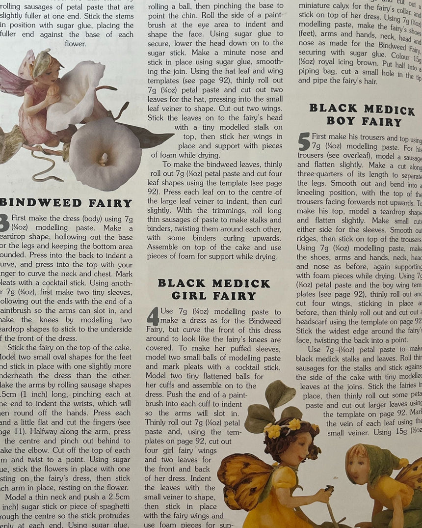 Pestil Books for vitruta Loveable Character Cakes