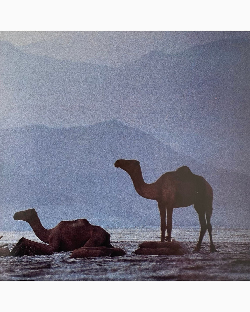 Pestil Books for vitruta Ostafrika: Photo-Impressionen aus dem Rift Valley