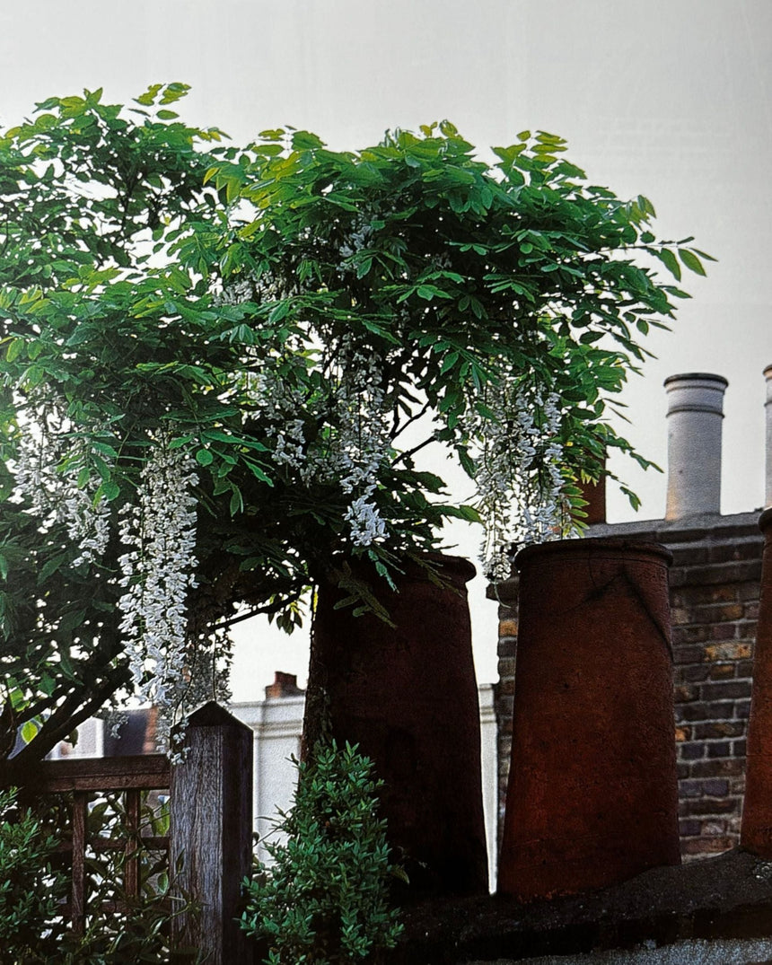 Pestil Books for vitruta Portfolio of Contemporary Gardens