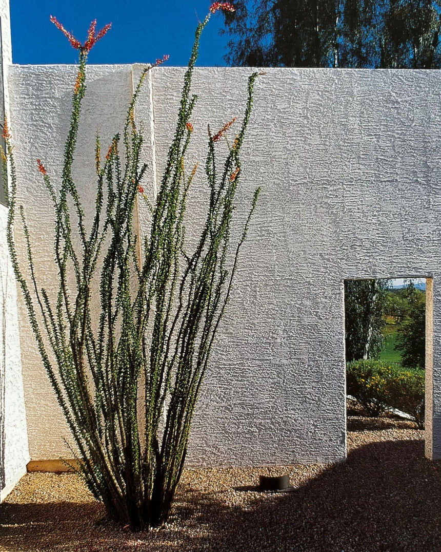 Pestil Books for vitruta Portfolio of Contemporary Gardens