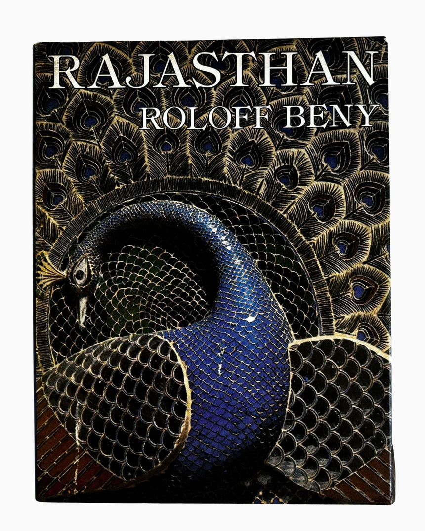 Pestil Books for vitruta Rajasthan: Land of Kings