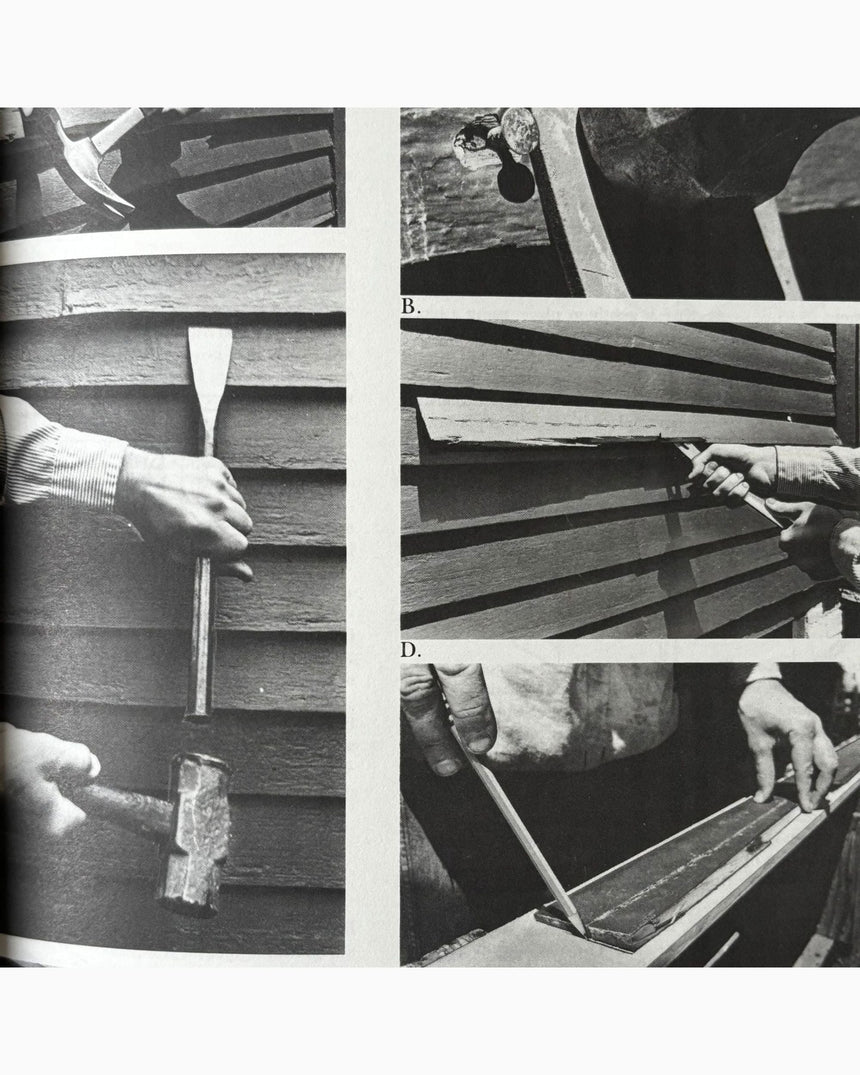 Pestil Books for vitruta Renovation: A Complete Guide