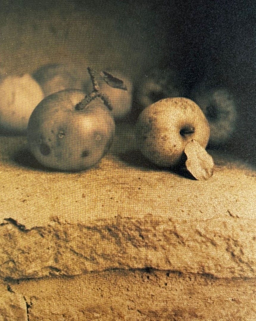 Pestil Books for vitruta Stillleben: Bildgestaltung und Technik am Beispiel berühmter Fotografien