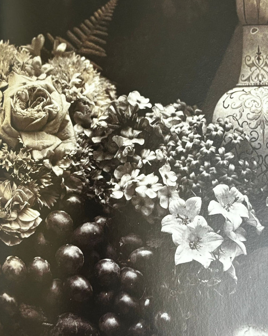 Pestil Books for vitruta Stillleben: Bildgestaltung und Technik am Beispiel berühmter Fotografien