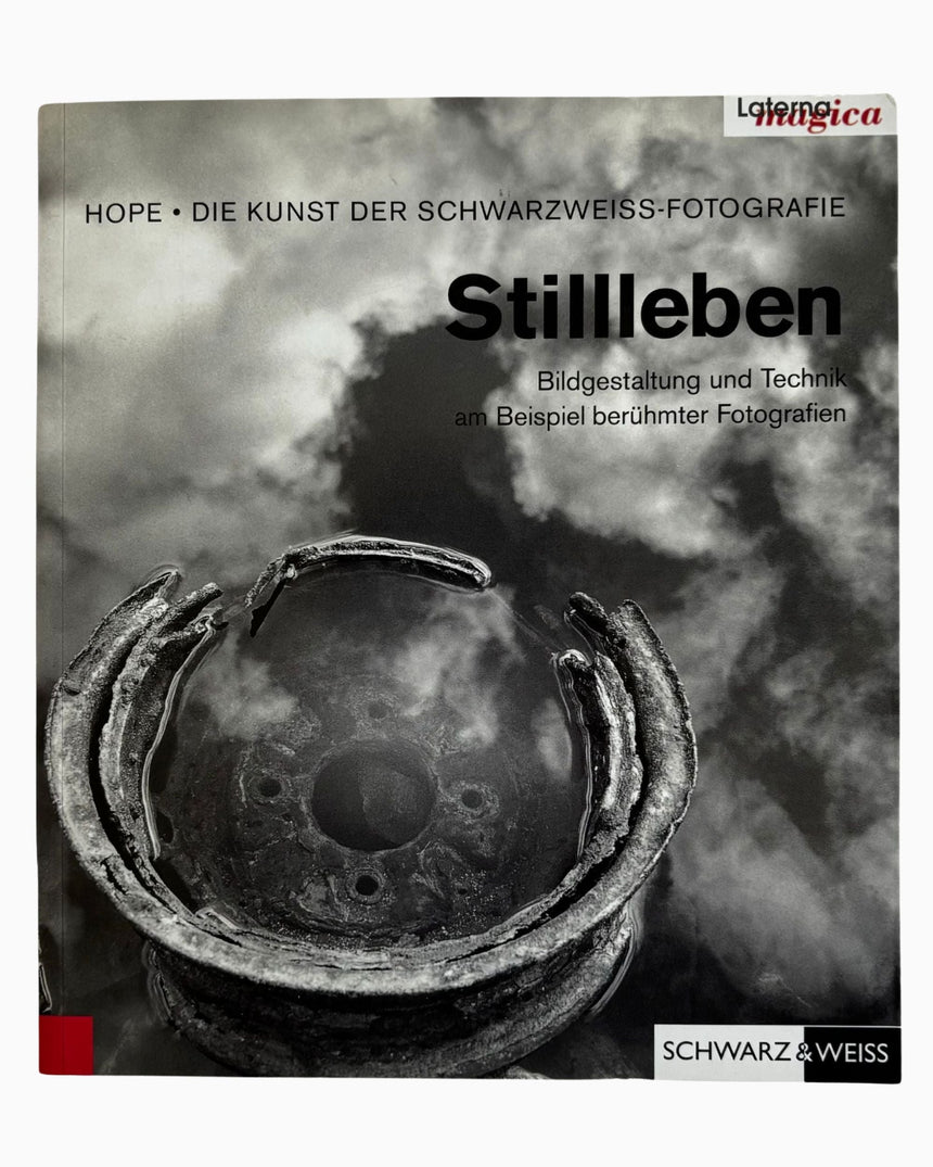 Pestil Books for vitruta Stillleben: Bildgestaltung und Technik am Beispiel berühmter Fotografien