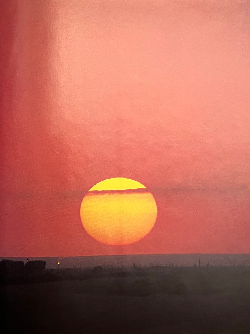 Pestil Books for vitruta Texas: A Picture Book to Remember Her By