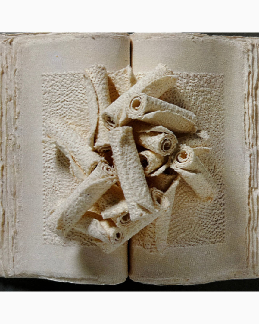 Pestil Books for vitruta The Art and Craft of Paper Making