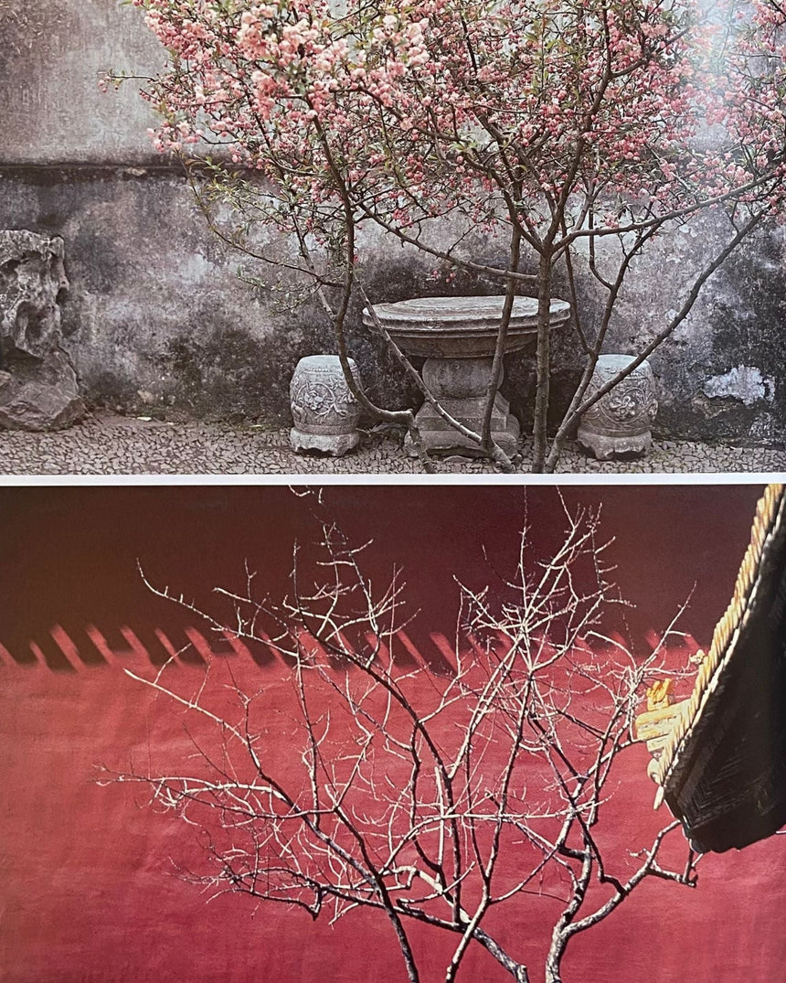 Pestil Books for vitruta The Chinese Garden: History, Art and Architecture