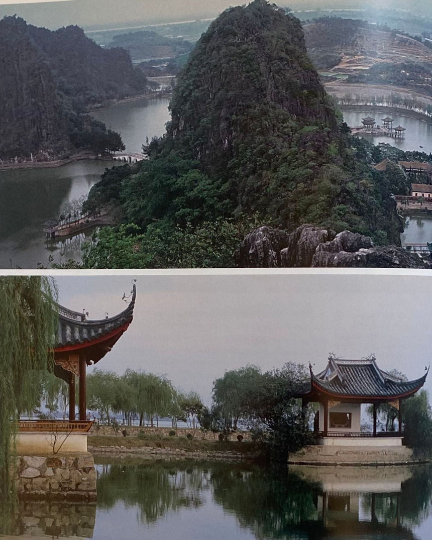 Pestil Books for vitruta The Chinese Garden: History, Art and Architecture