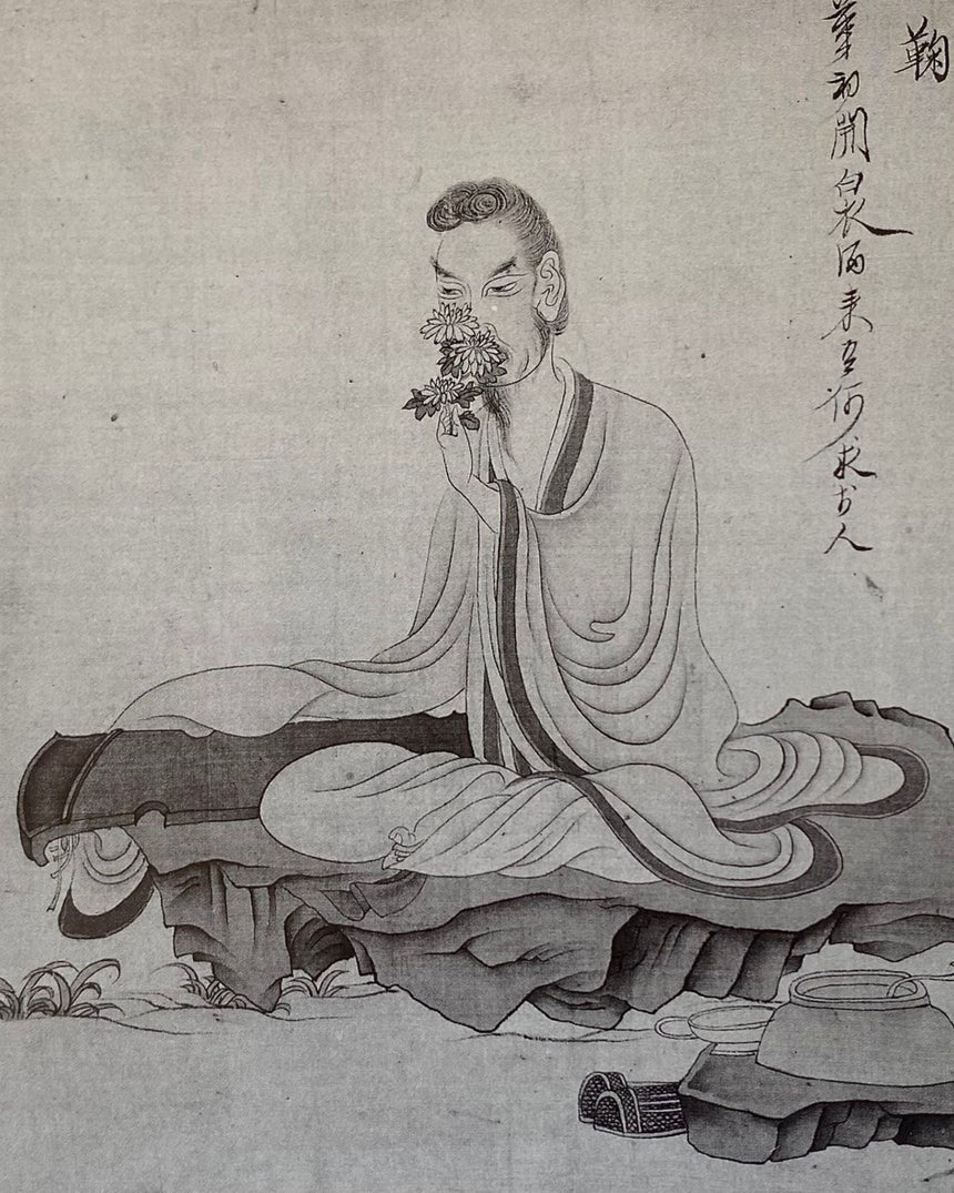 Pestil Books for vitruta The Chinese Garden: History, Art and Architecture