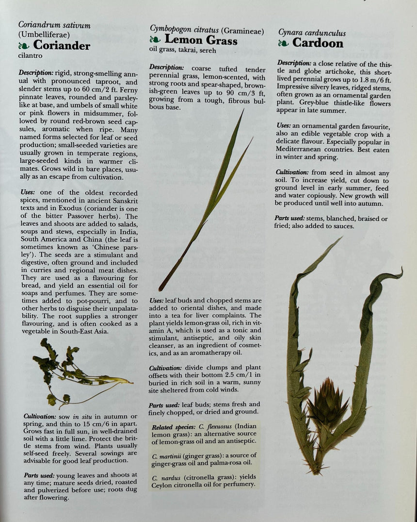 Pestil Books for vitruta The Cook's Encyclopedia of Herbs