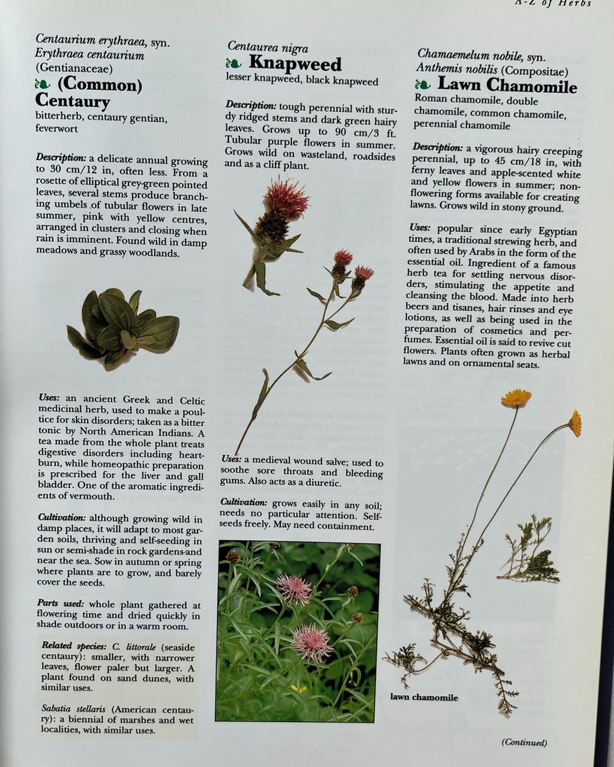 Pestil Books for vitruta The Cook's Encyclopedia of Herbs