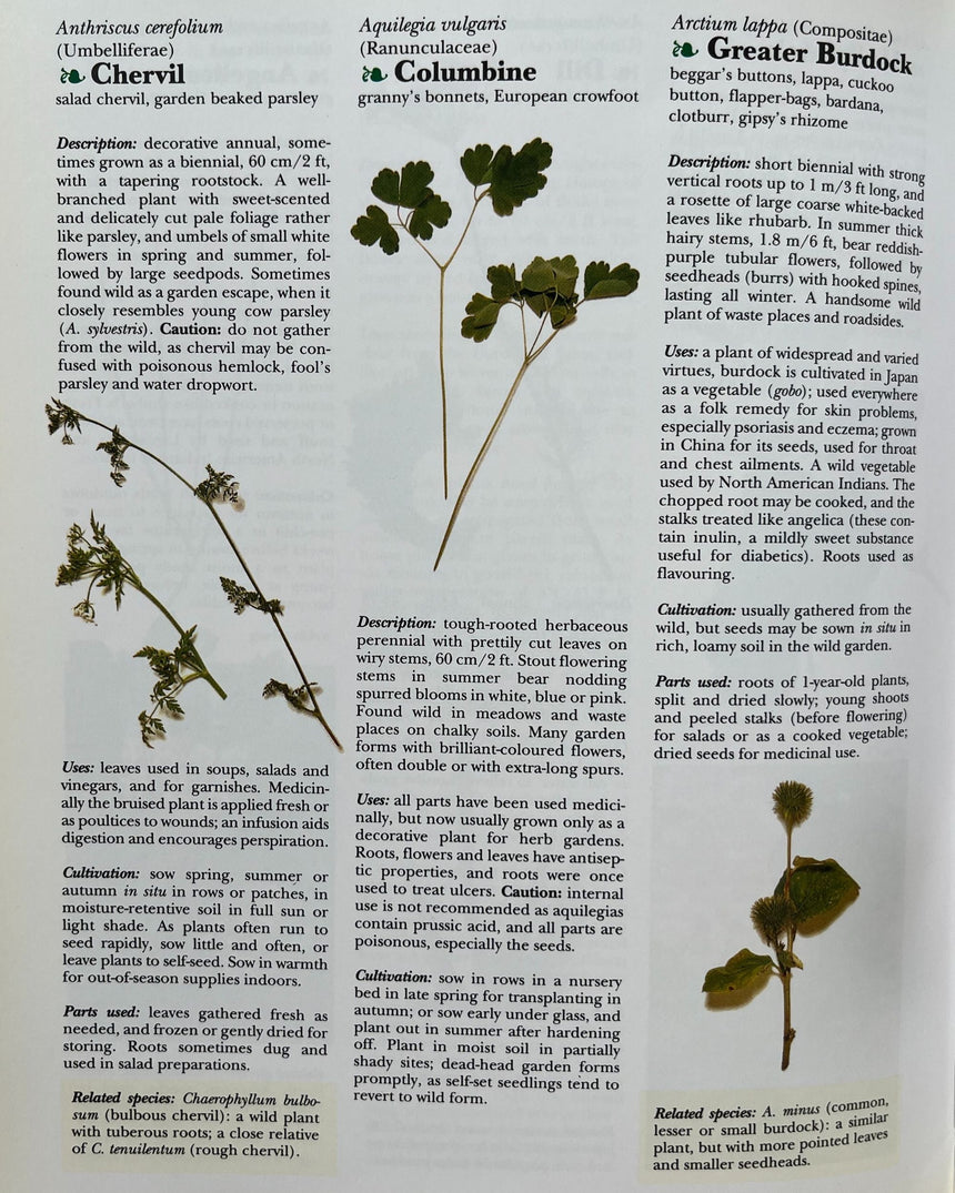 Pestil Books for vitruta The Cook's Encyclopedia of Herbs