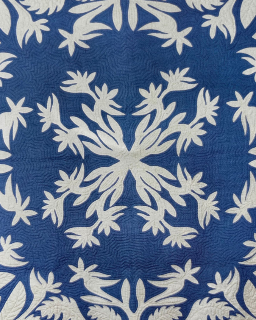 Pestil Books for vitruta The Hawaiian Quilt: The Tradition Continues