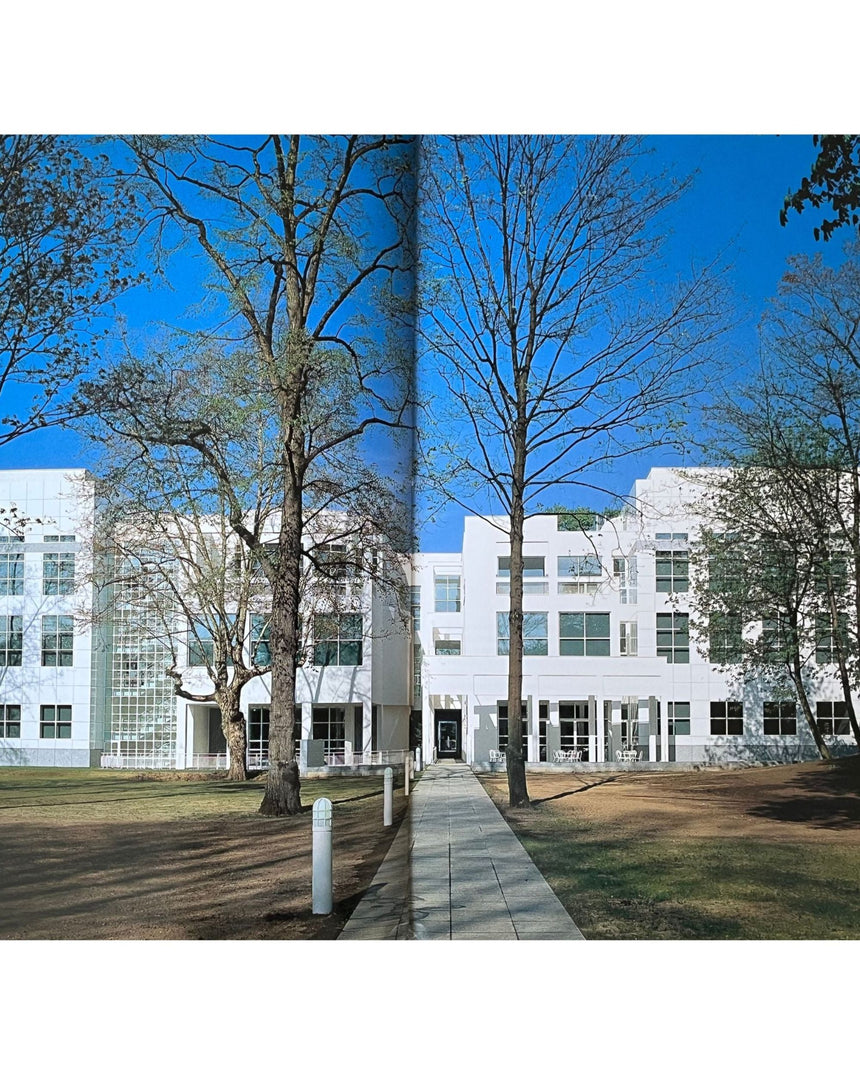 Pestil Books for vitruta The New Modern Aesthetic