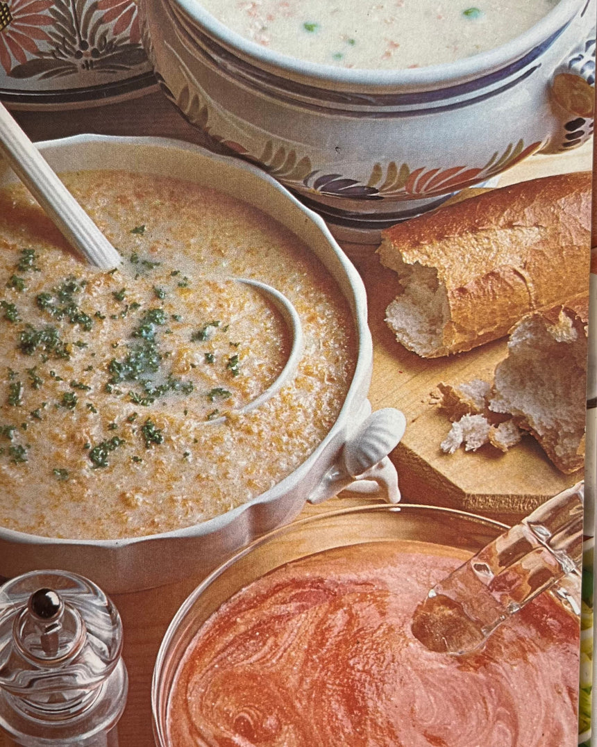 Pestil Books for vitruta The Sainsbury Book of Quick Meals