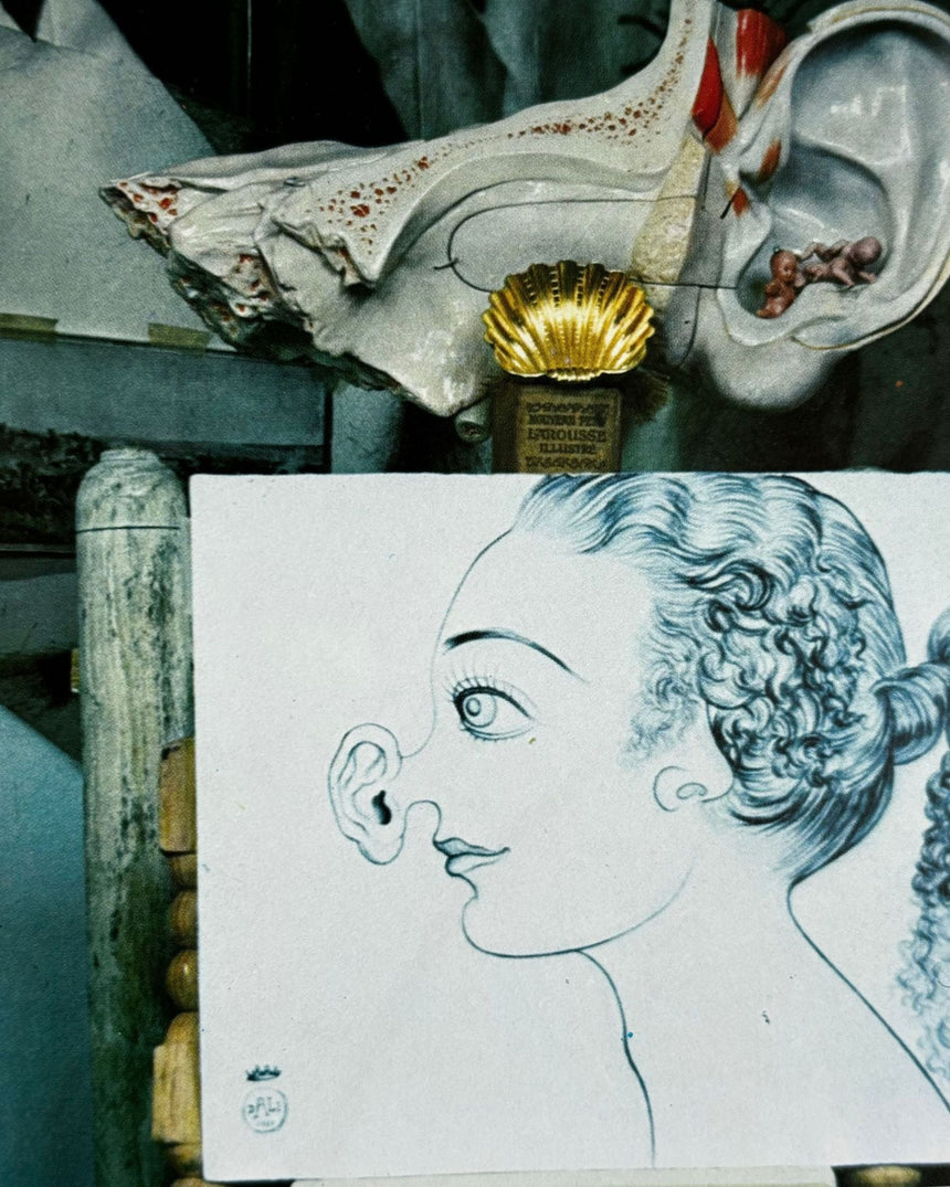 Pestil Books for vitruta The World of Salvador Dali