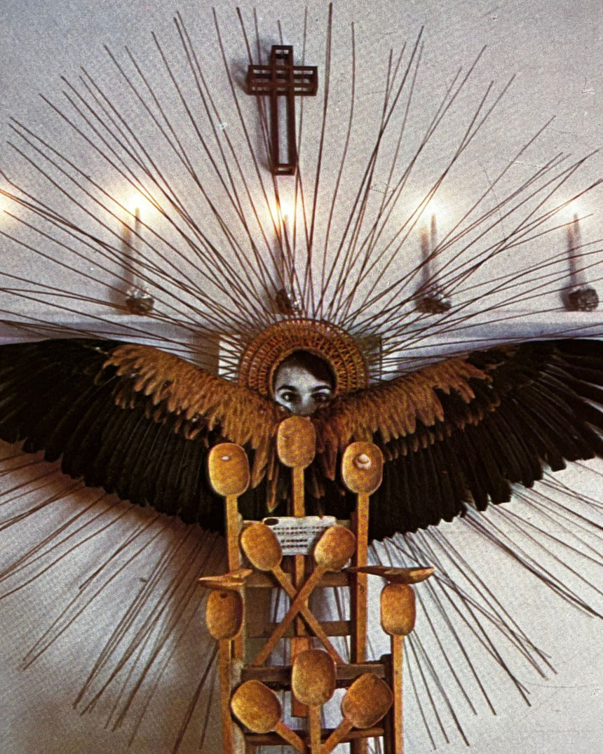 Pestil Books for vitruta The World of Salvador Dali