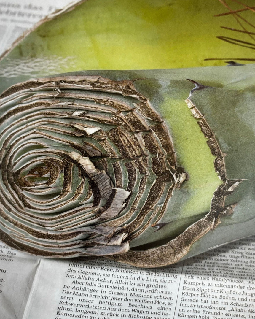 Pestil Books for vitruta Wolfgang Tillmans 2017