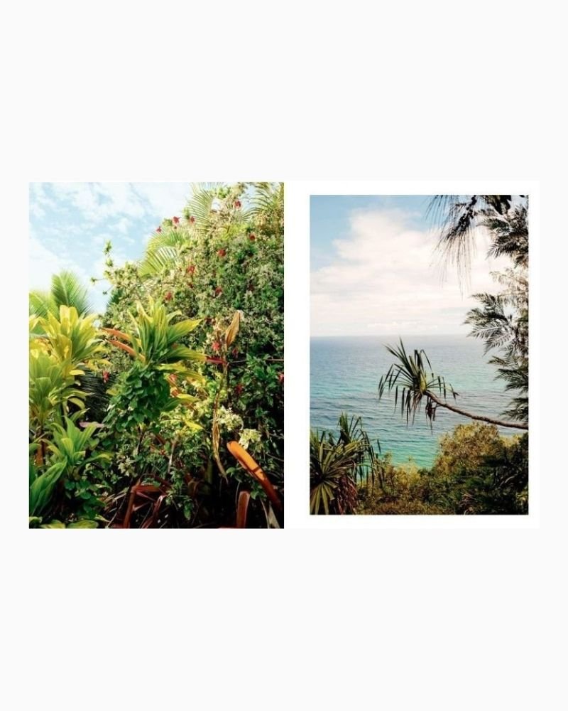 vitruta Book Selection Kinfolk Wilderness