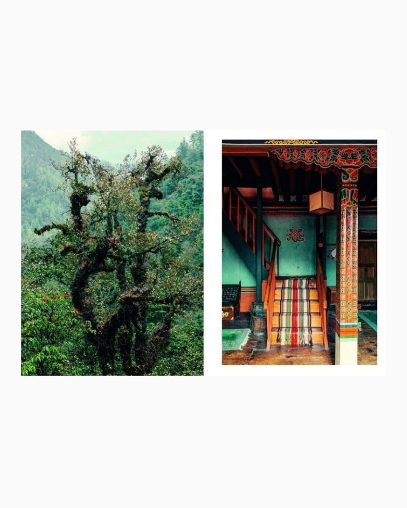 vitruta Book Selection Kinfolk Wilderness