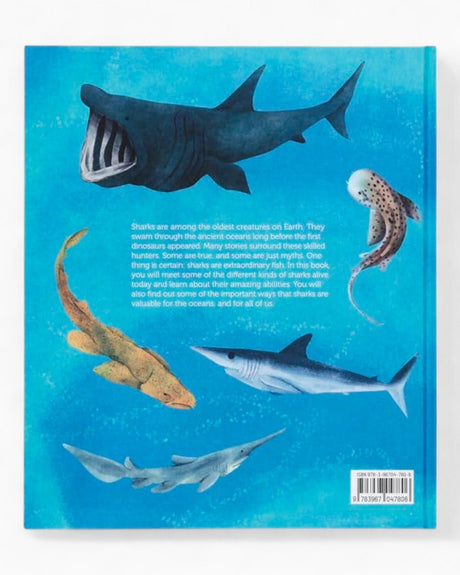 vitruta Book Selection The World of Sharks