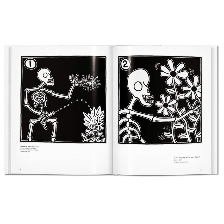 vitruta Book Selection Haring - Basic Art Series