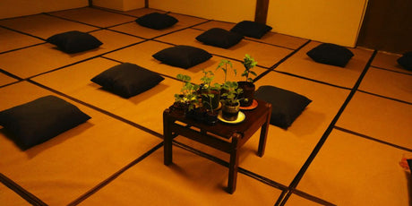 MUBI ile Perfect Days özel gösterimi - vitruta