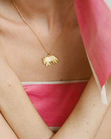 Apres Ski Capra Necklace