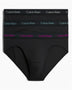 Calvin Klein Hip Brief 3PK Cotton Strech - Erkek B-Wild Aster/ Auth Grey/ Arctic Lg