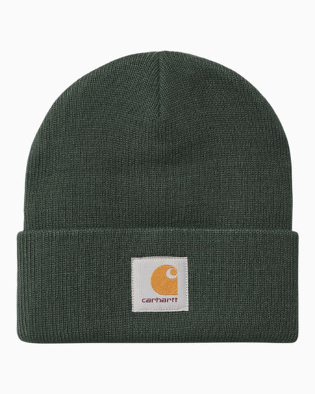 Carhartt WIP Short Watch Hat Dark Scarab