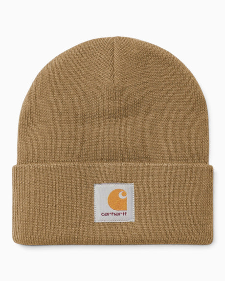 Carhartt WIP Short Watch Hat WIP Dusty H