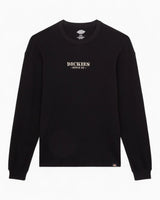 Dickies Dickies Waffle Erkek T-Shirt Black