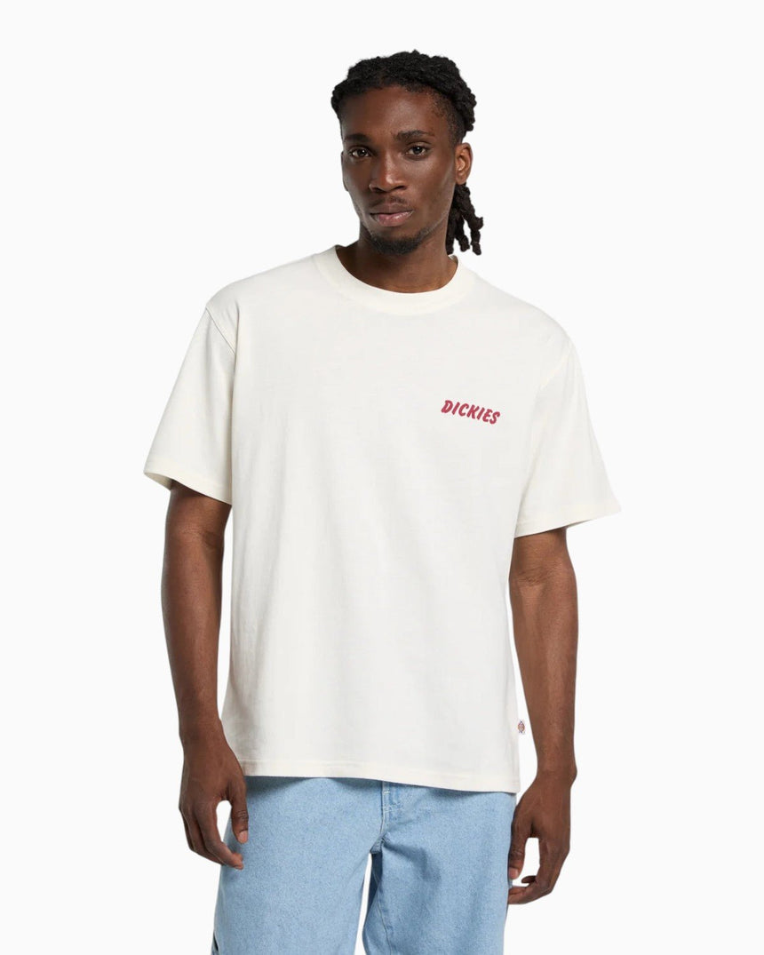 Dickies Dry Rige SS Erkek T-Shirt