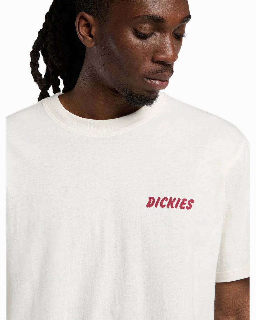 Dickies Dry Rige SS Erkek T-Shirt
