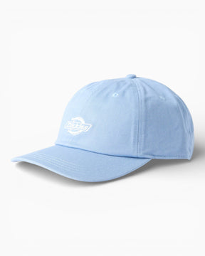 Dickies Essential Dad Cap Endless Sky