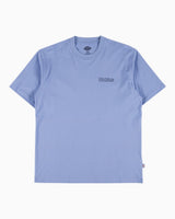 Dickies Fairlawn SS Erkek T-Shirt