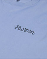 Dickies Fairlawn SS Erkek T-Shirt