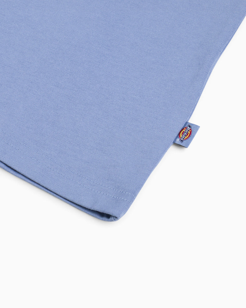 Dickies Fairlawn SS Erkek T-Shirt
