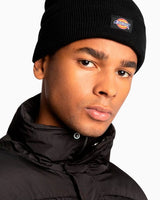 Dickies Gibsland Bere