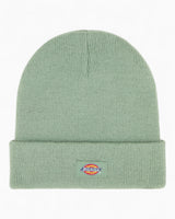 Dickies Gibsland Bere Sea Spray
