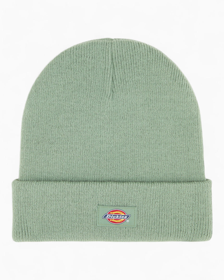 Dickies Gibsland Bere Sea Spray
